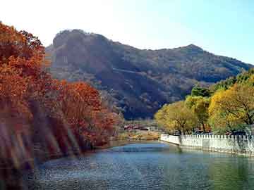 澳门期期准免费精准，壳牌机油型号